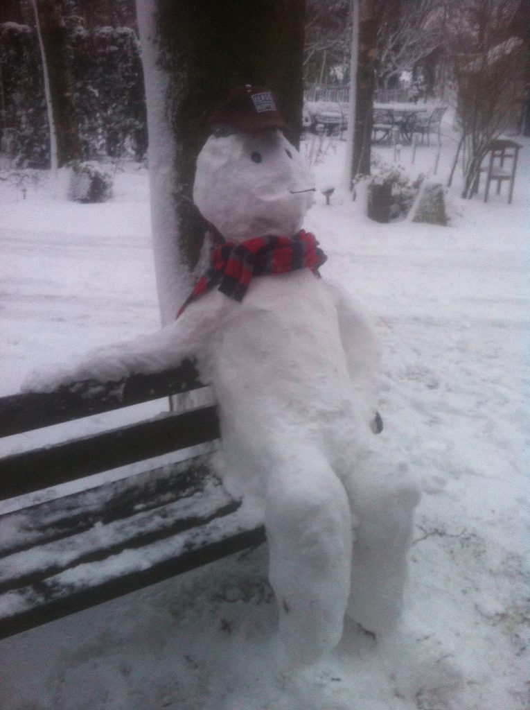 sneeuwpop op bank
